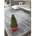 Limestone Paving